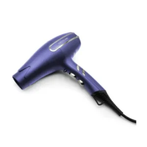Secador Arc Dryer Corioliss