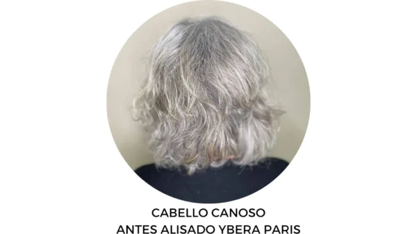Masterclass BLONDE Methodology Ybera Paris - Imagen 2