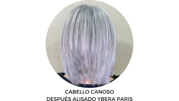Masterclass BLONDE Methodology Ybera Paris - Imagen 3